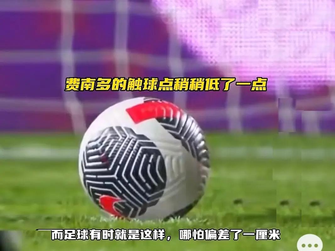 冠的重要因